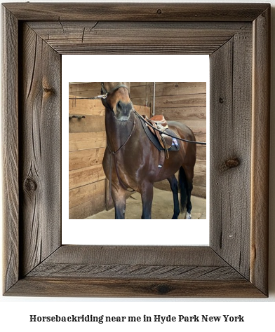 horseback riding near me in Hyde Park, New York